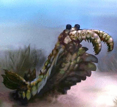 Палеонтологами  обнаружены хищные креветки