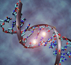 Ученые создали ДНК искусственной формы жизни