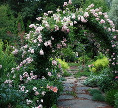 Идеи использования садовых арок на даче