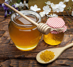 Мед— средство борьбы с резистивностью бактерий