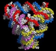 ДНК тетраэдры созданы в лаборатории