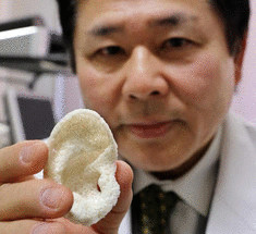  Японскими учеными создан новый универсальный 3D-биопринтер
