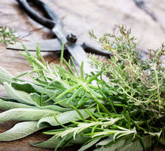 Лучшие травы для лечения синдрома раздраженного кишечника