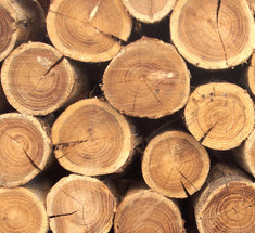 В Гетеборге готовятся к запуску предприятия по производству биогаза из древесины