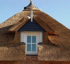 Натуральное строительство  набирает большую популярность