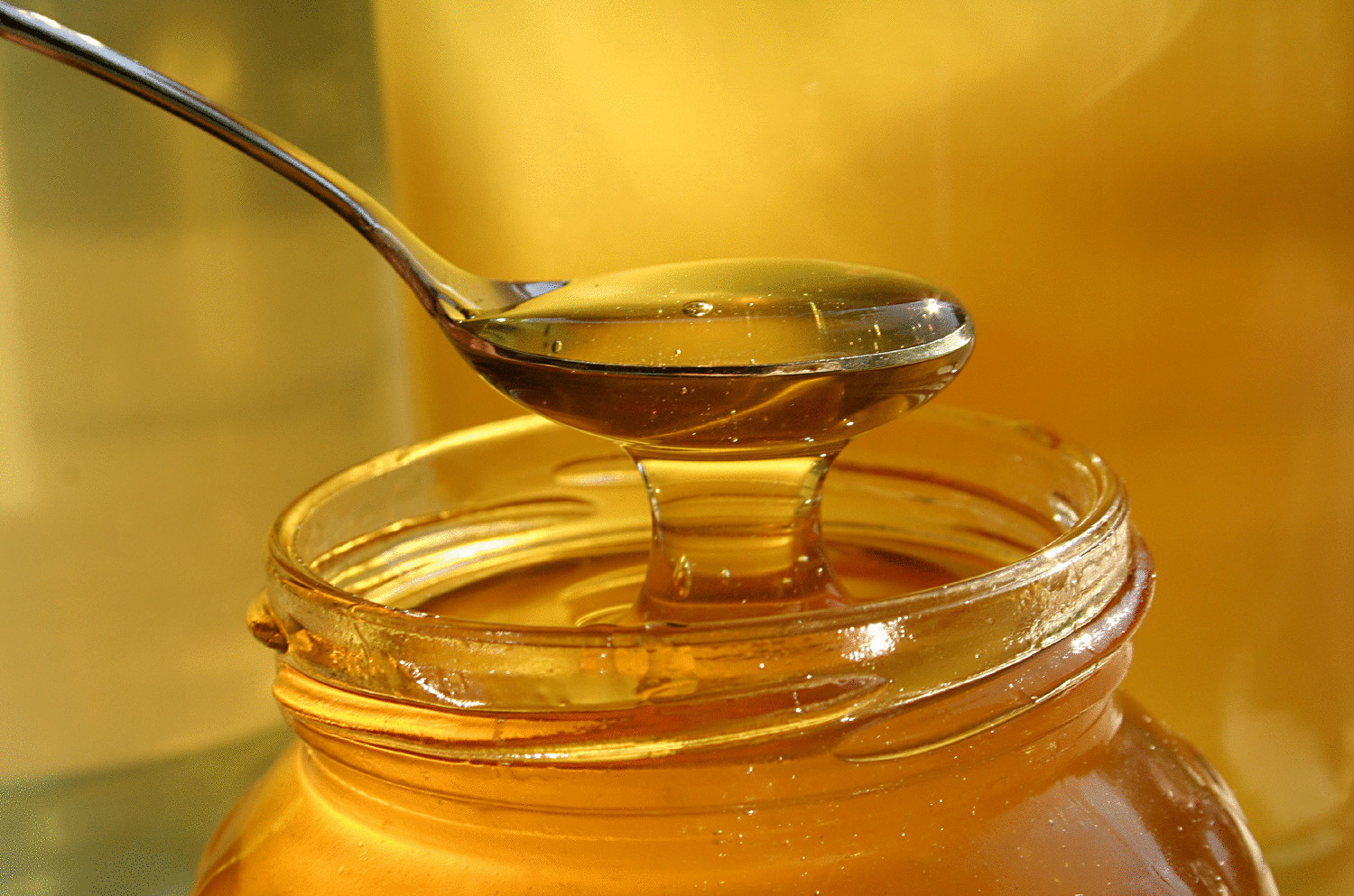 Ученые: мед - лучше антибиотиков