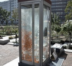 Телефонная будка-аквариум
