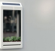 Очиститель воздуха Original Breath