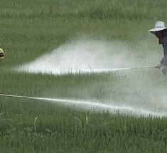 Комплексный контроль над сорняками