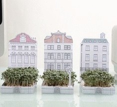 Сад-открытка PostCarden