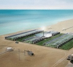 Озелененная Сахара и зеленые технологии