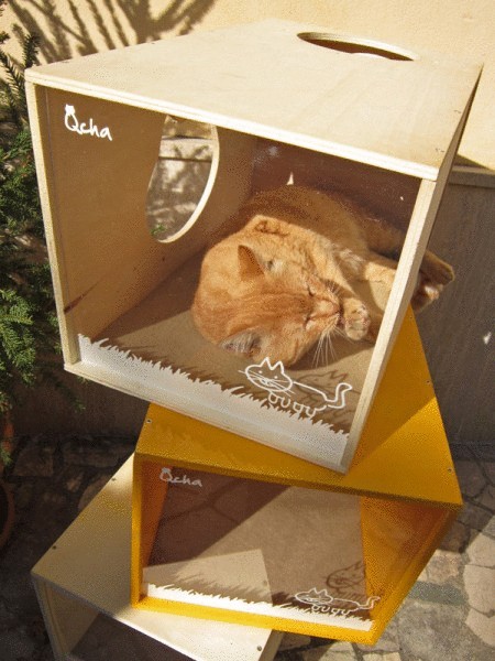 Qcha - кошачий домик