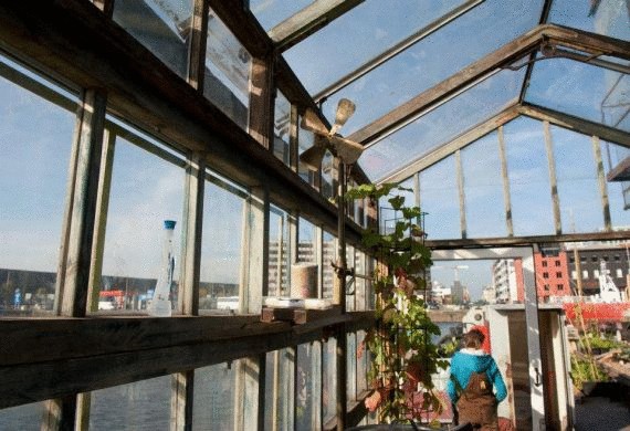 Первый городской овощной сад на корабле