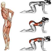 Упражнения на растяжку, которые быстро избавят от боли в спине