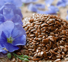 11 причин полюбить семена льна