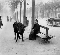 Исторические события в архивных фотографиях 