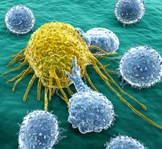 Что Вы должны знать об онкологии: где живет рак