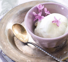 Все о лаванде +  рецепт восхитительного  лавандового мороженого