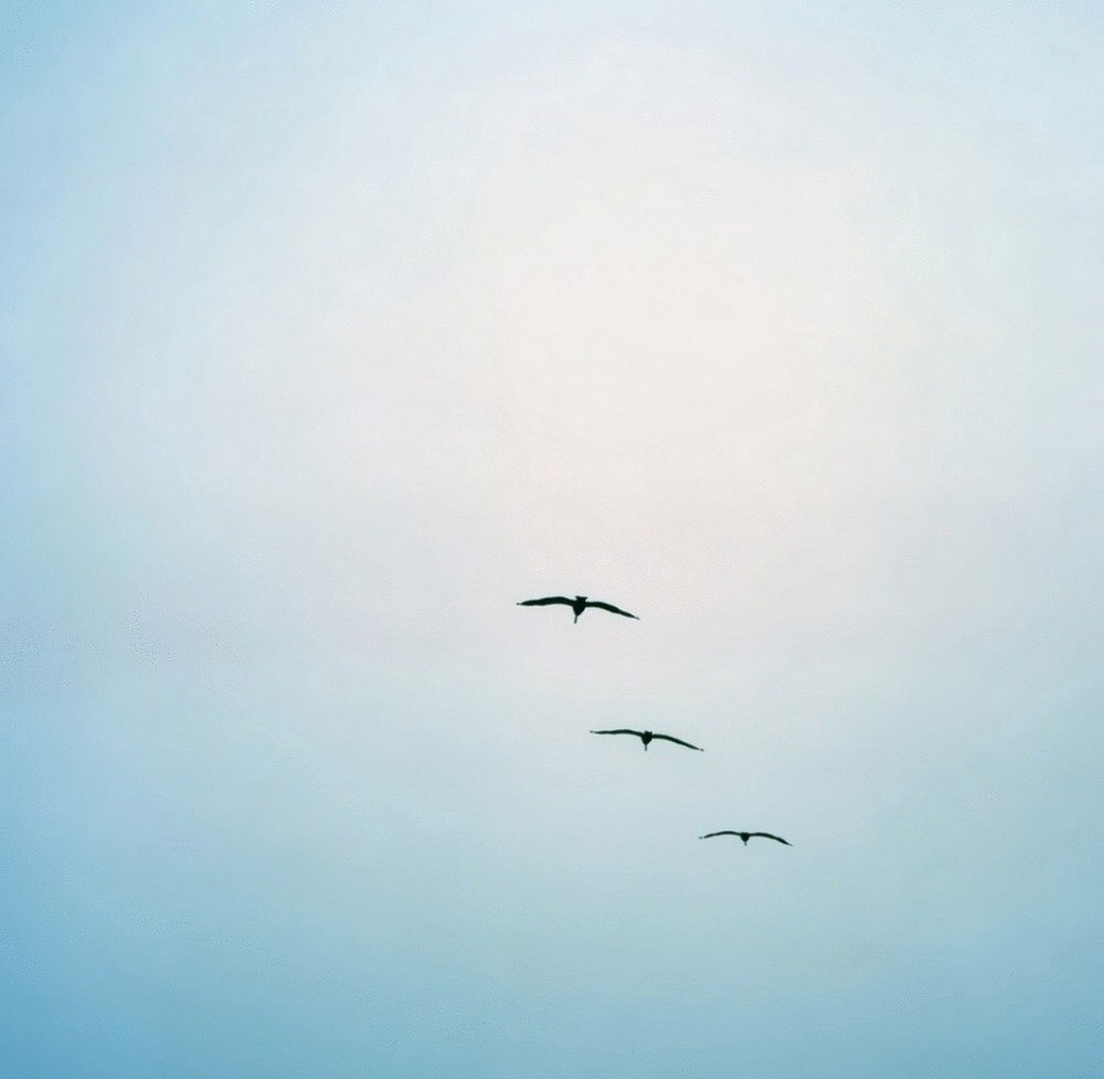 Природный минимализм