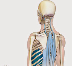 Как не накапливать напряжение в области плеч и шеи: 7 простых приемов