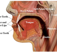 Неприятный запах изо рта или халитоз: ЧТО делать