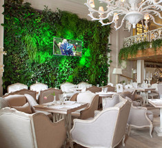 Фитостены в ресторанах: съедобные и красивые