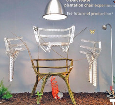 Chair Farm - стул, который можно вырастить собственными руками