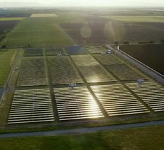 Исследование: солнечные электростанции на месте табачных плантаций принесут больше выгоды фермерам