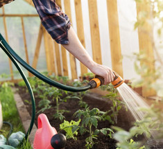 5 правил ухода за садом и огородом в жару