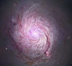 Как наша галактика, Млечный Путь, приобретает свою спиральную форму?