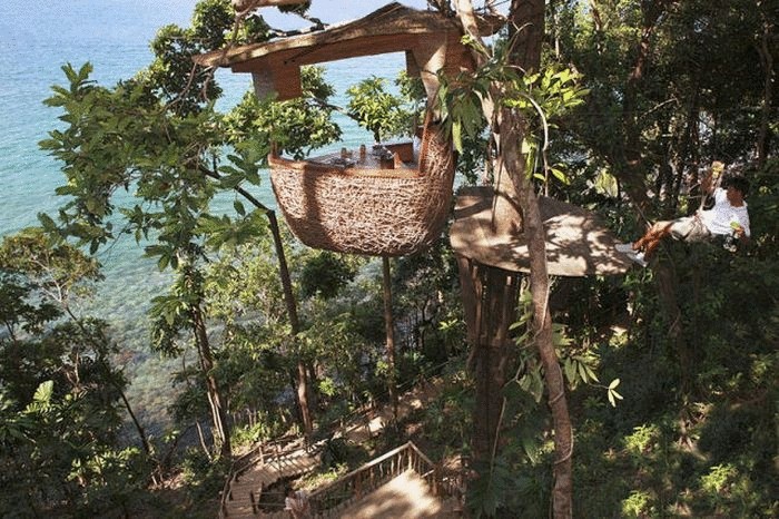 Уникальный ЕКО ресторан на вершине дерева