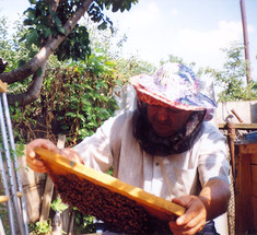 Григорий Чернов: займись пчеловодством и продли себе жизнь