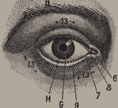 Эта простая техника для глаз — отличная профилактика глаукомы и катаракты