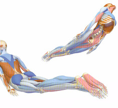 Комплекс несложных растягивающих упражнений для спины