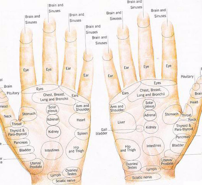 Органы на руке человека. Рефлексология точка на ладони. Биоактивные точки на правой ладони. Проекция органов на ногти рук. Основные анатомические точки стопы.