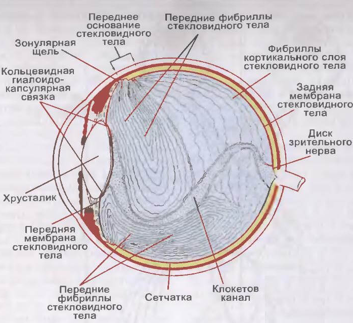 Лечение отслойки задней стенки стекловидного тела