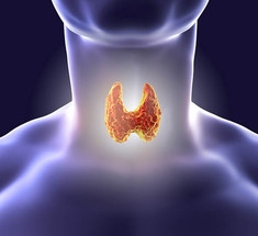 Щитовидная железа: 8 вещей в доме, которые влияют на её здоровье