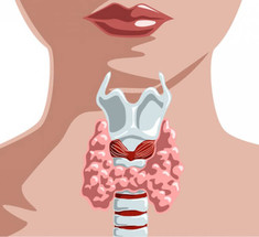 Как нарушения работы щитовидной железы влияют на репродуктивную систему женщины