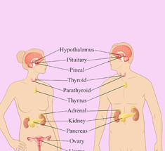 8 сигналов организма, свидетельствующих о гормональном сбое! 