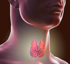 Природные стратегии для поддержки функции щитовидной железы