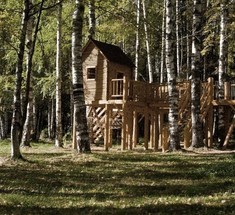 Эко-отель "Романов лес"