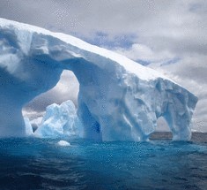 Под льдами Антарктики обнаружены многочисленные экосистемы