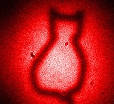 Ученые получили изображение кота Шредингера