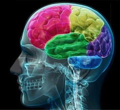 10 удивительных тайн человеческого мозга