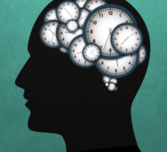 Как время суток и продукты влияют на работу мозга