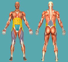 Как восстановить тело за 2 недели: гимнастика профессора Такеи Хитоши 