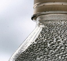 По следам пустынных жуков. Бутылка-самобранка, которая сама себя наполнит водой 