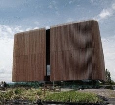 Электроэнергия из болота