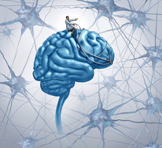 Нейропластика мозга: Как ВЫ  мыслите, так вам и БУДЕТ