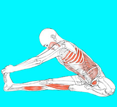 Упражнения для восстановления эластичности мышц